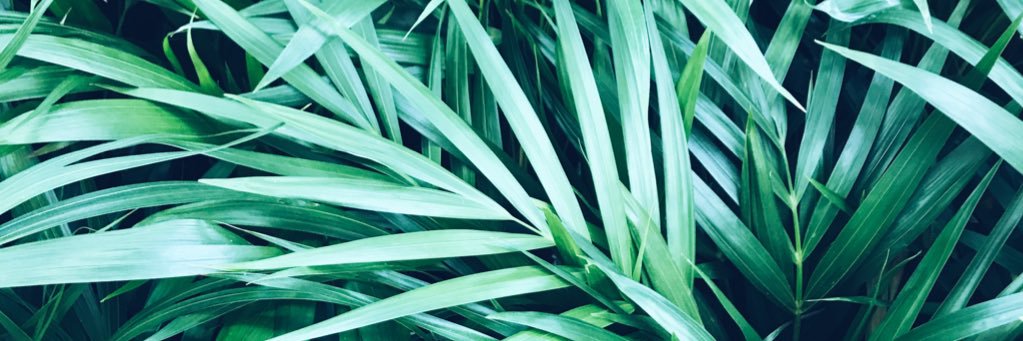 Joserra1992's profile banner image