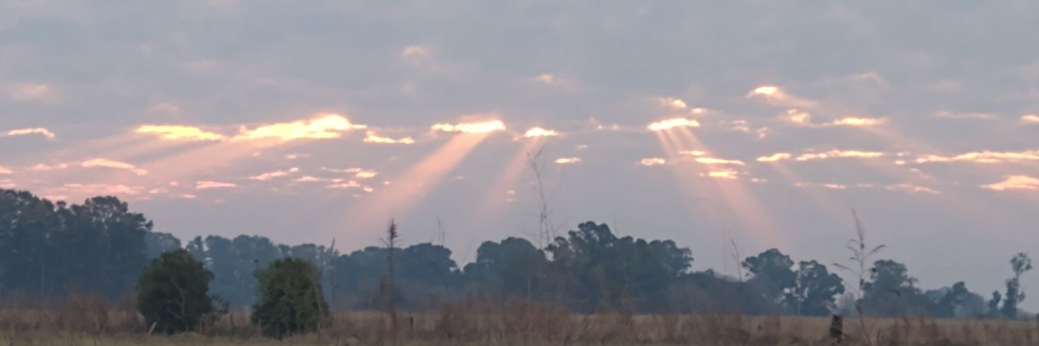 felitinetti's profile banner image