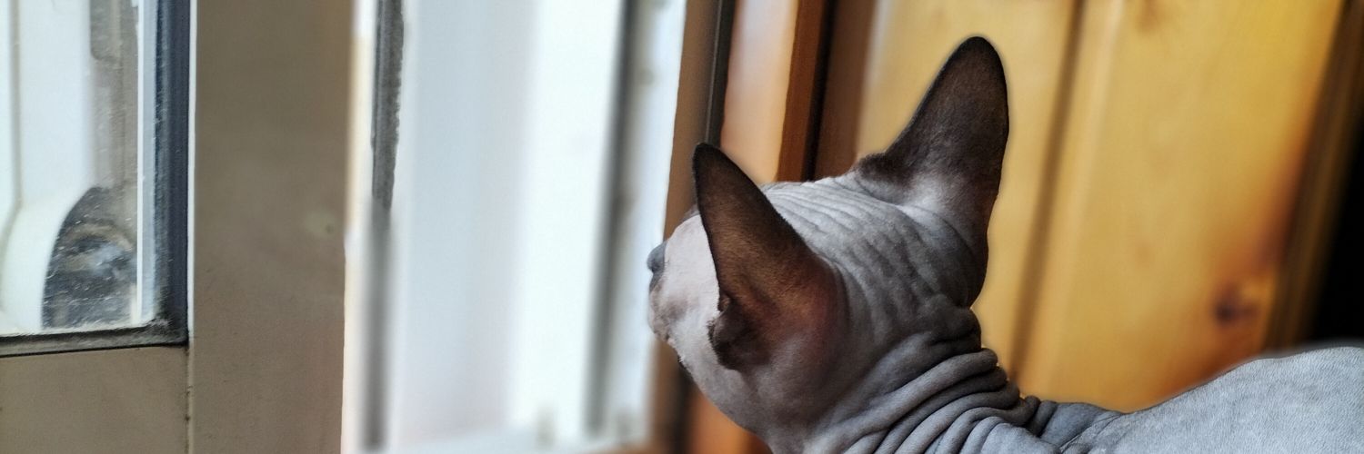 ViVi_ZgZ's profile banner image