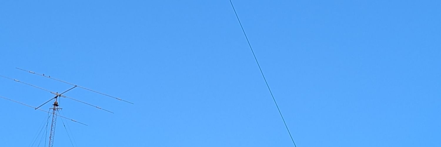 Diego Dubcovsky banner