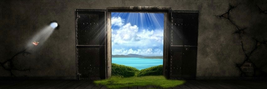 Affilaction's profile banner image