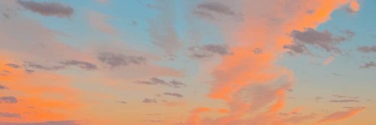 negri_le's profile banner image