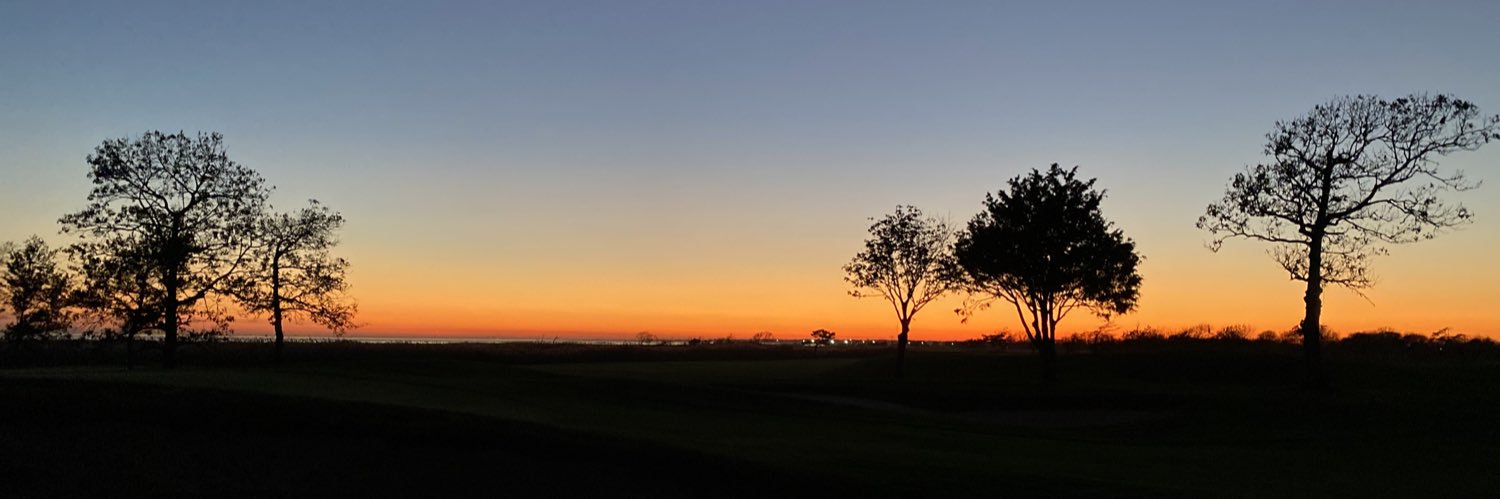 mainolfi's profile banner image