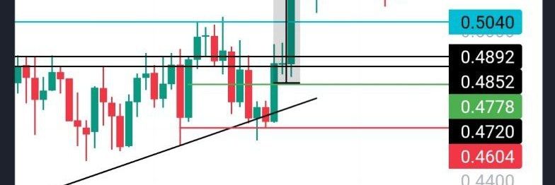 cryptopro313910's profile banner image