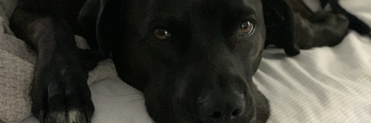 hunter reiser banner