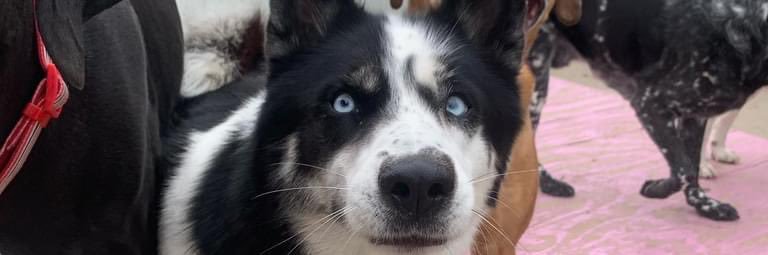 KGritton's profile banner image