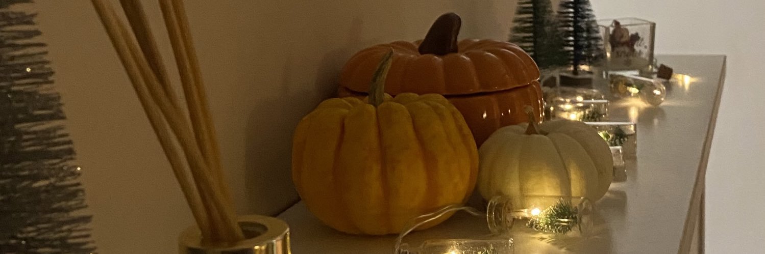 nerdegezmis's profile banner image