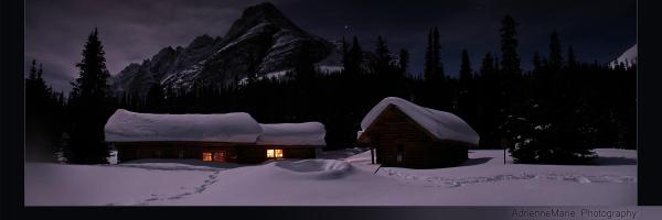 AdrienneM1971 Profile Banner