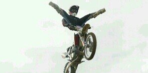 pepitogrillofmx's profile banner image