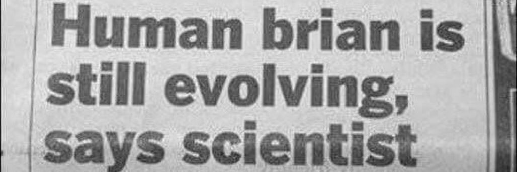 Bʀɪᴀɴɪᴀᴄ® banner