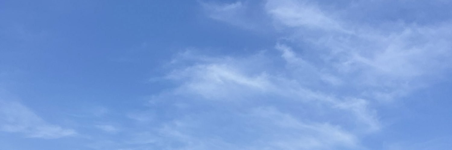 odie's banner