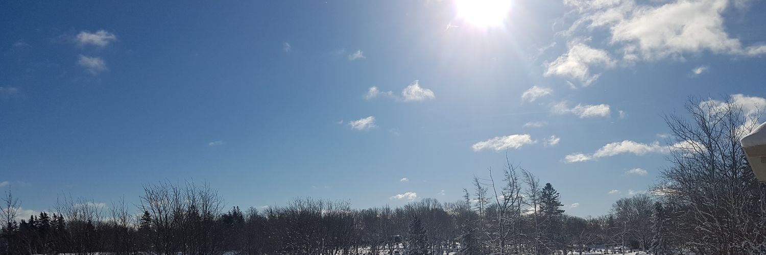 Quixotic Realist banner