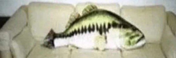 Clown_fishhh Profile Banner