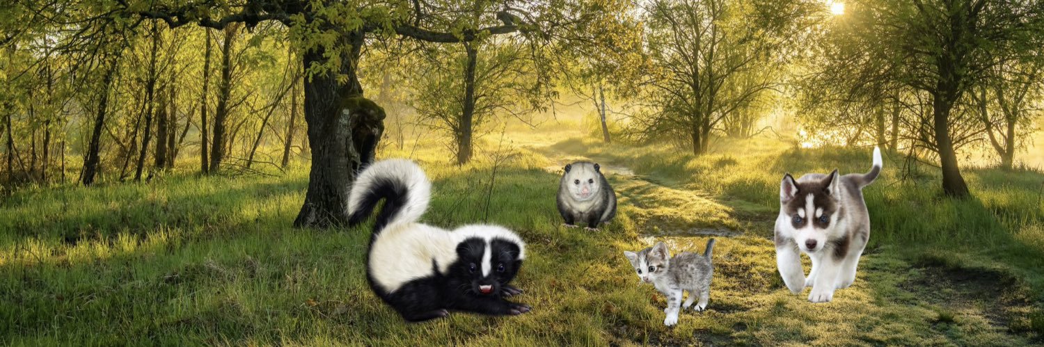 Billy K. Harmony banner