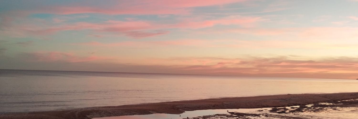 Sofiaxa60's profile banner image