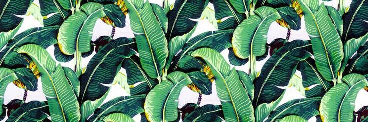 Brittany Martin banner