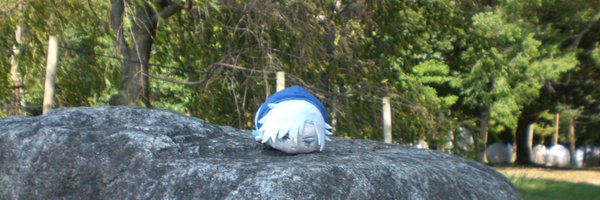 niro_222 Profile Banner