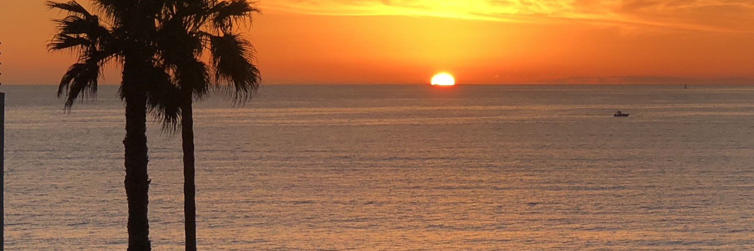 Hailey Winslow banner