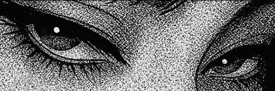 persiandalqak's profile banner image