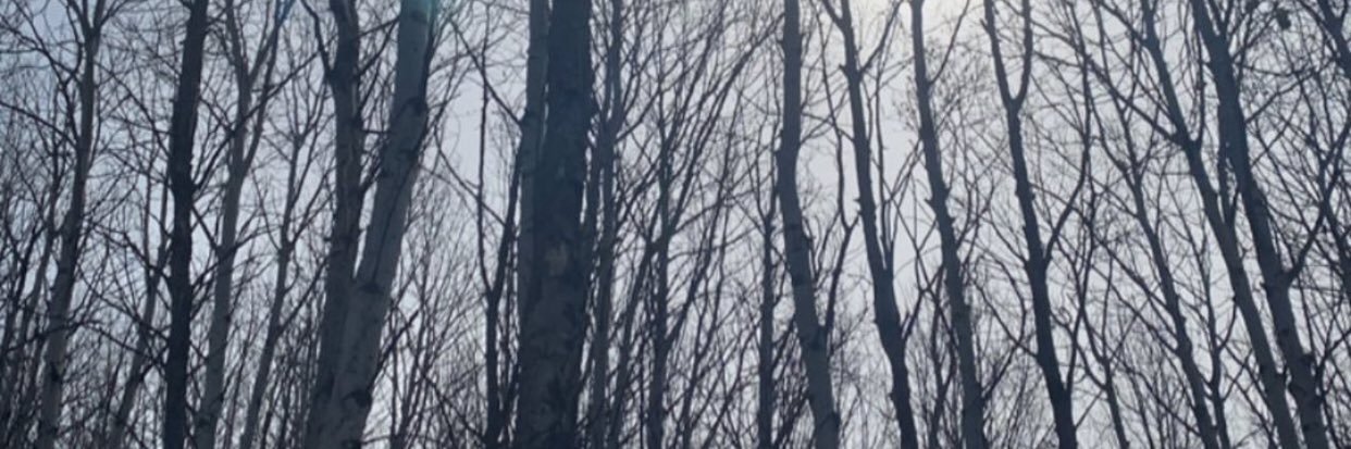 bruh banner