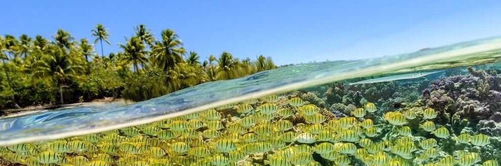 USA TODAY 10Best banner