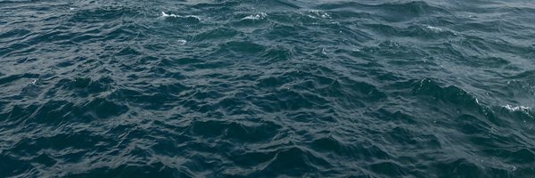 askvemeowmeo Profile Banner