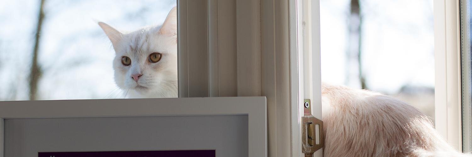 Mike Fletcher banner