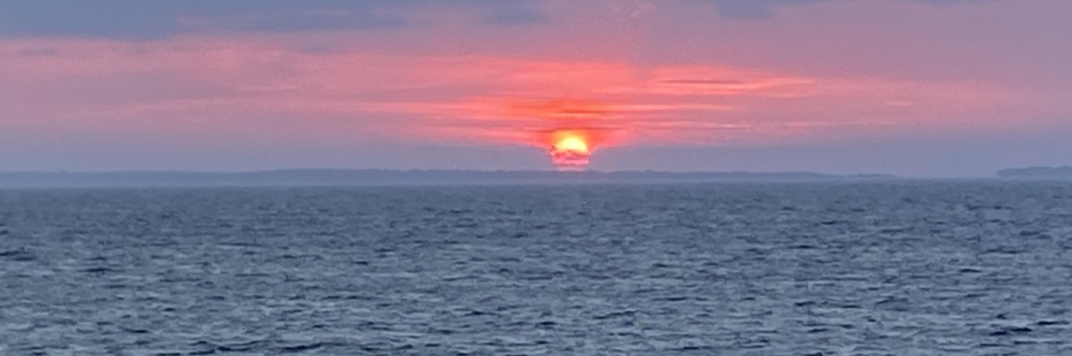 Kevin Sullivan banner