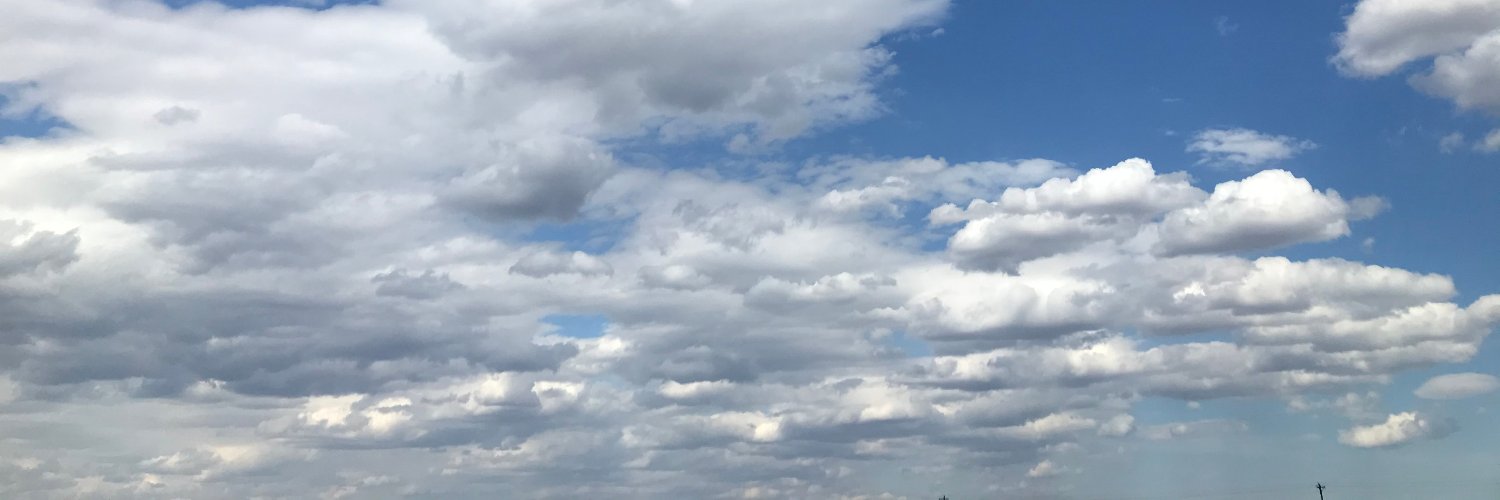 ellenbyron banner