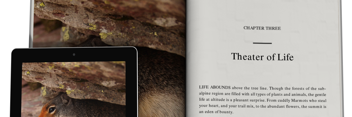 BookTemplates's profile banner image