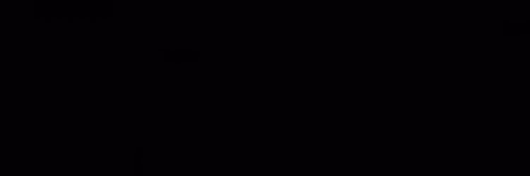 ImSoNYCBish's profile banner image