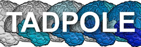 Neil Oxtoby (Toybox Science) banner