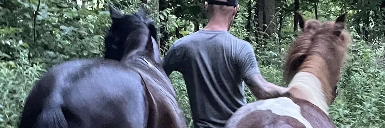 Joseph Patterson banner