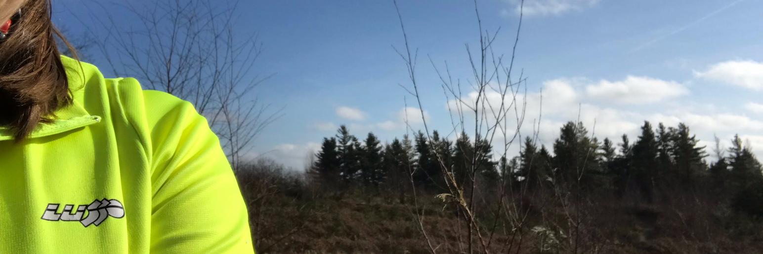 MuddyFootAnne's profile banner image