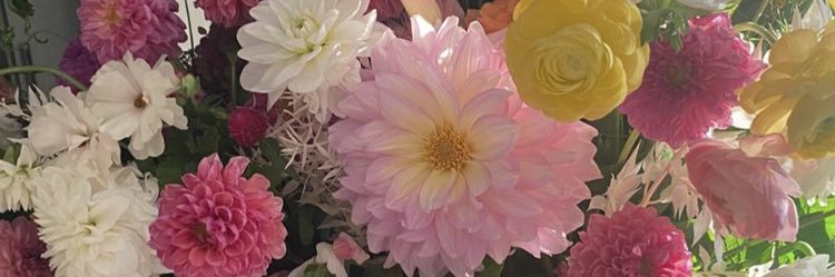 AliL's profile banner image