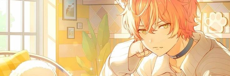 seb_wk's profile banner image