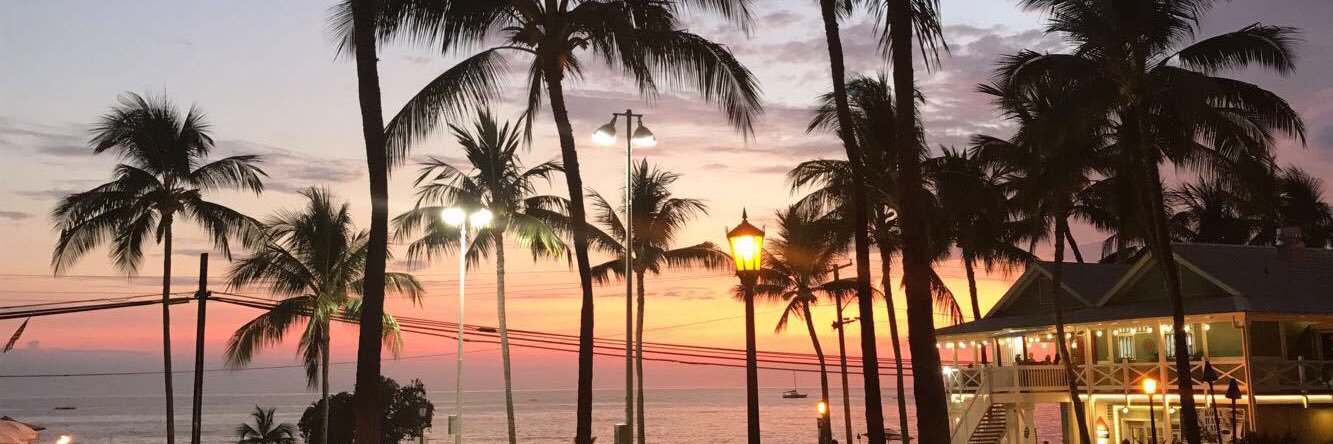 chamomile tea🫧⛲️ banner