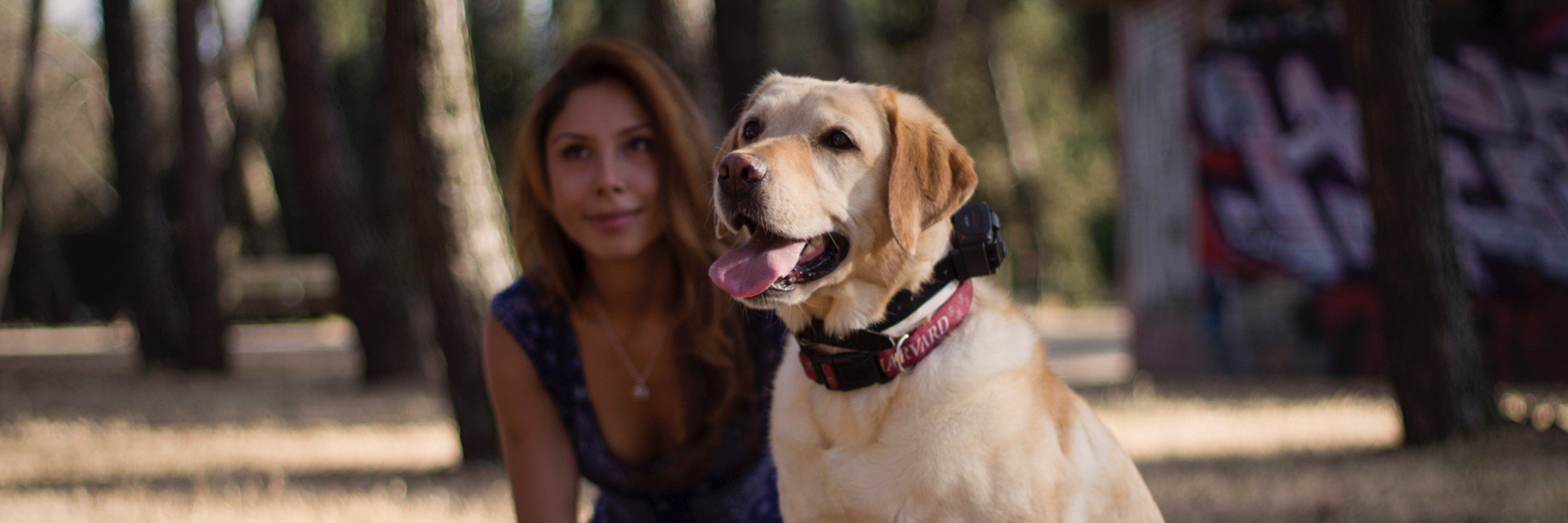 nadiaforu's profile banner image