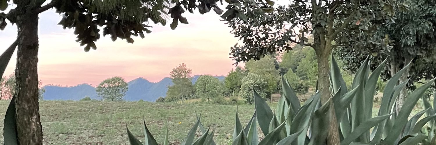 JulyRugerio's profile banner image