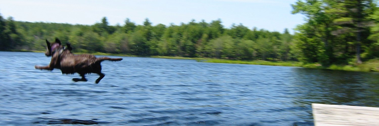 davidtx's profile banner image