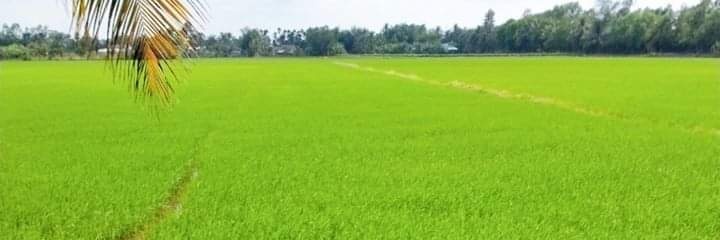 Helptheworld369's profile banner image
