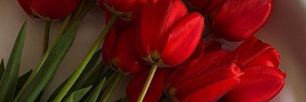 Heyitsher_ Profile Banner