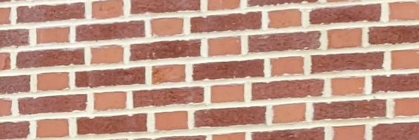 millieapolinari's profile banner image
