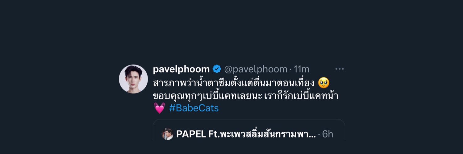 𝑷𝑨𝑷𝑬𝑳 Ft.พะเพวสลิ่มสันกรามพาเวล banner