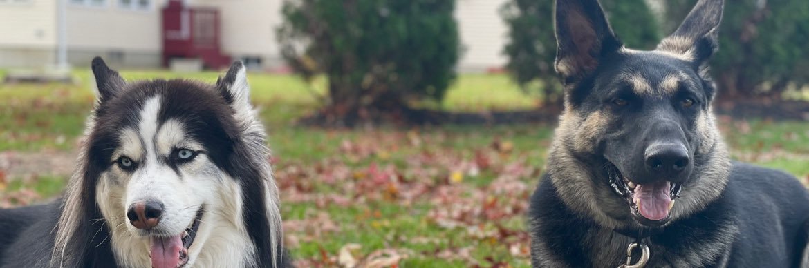 alllgee's profile banner image