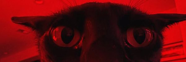wholelottaraccc Profile Banner
