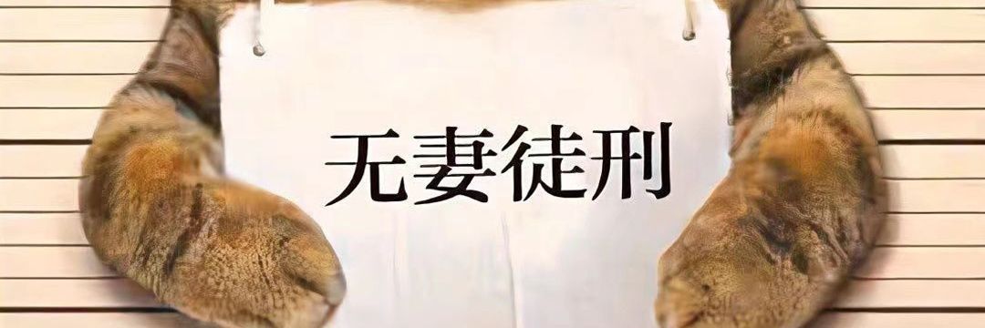 zmy841's profile banner image