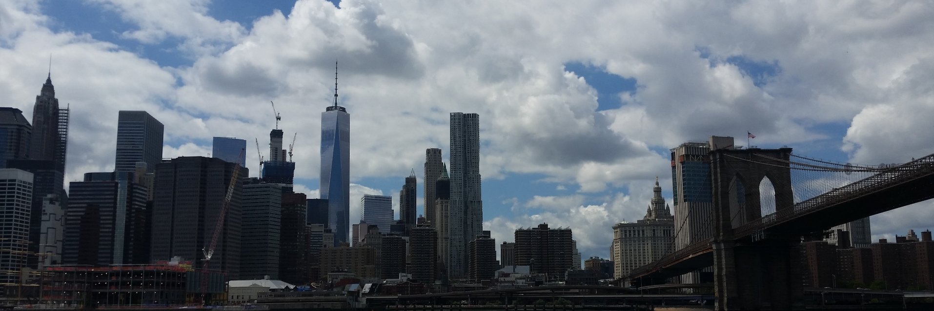 Christina Licata banner