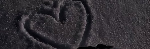 redelephan Profile Banner