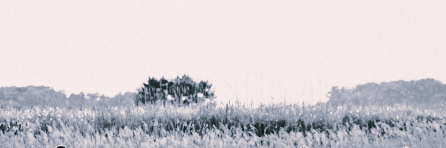 usabperning1986's profile banner image